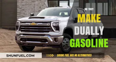 Exploring the Myth: Do They Really Make Dually Gasoline Trucks?
