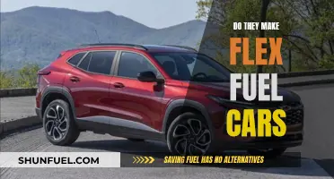 Flex Fuel Cars: Are They Still Around?