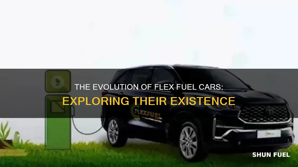 do they make flex fuel cars