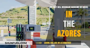 Fuel Options in the Azores: Gasoline or Diesel?
