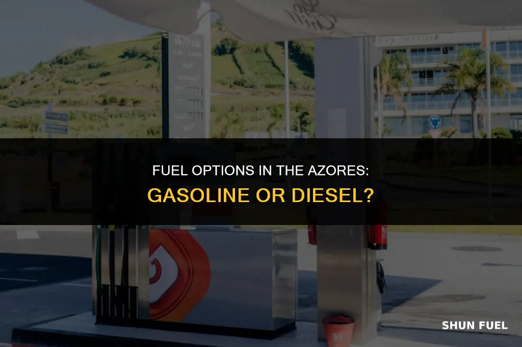 do they sell regualar gasoline or diesel in the azores