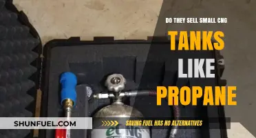 Exploring the Availability of Small CNG Tanks for Consumer Use