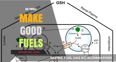Exploring Thiols as Potential Fuel Sources: Benefits and Challenges