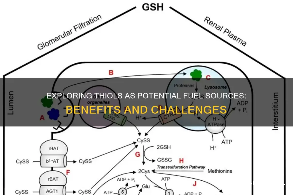 do thiols make good fuels