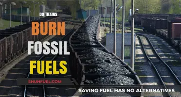 Trains and Fossil Fuel Usage