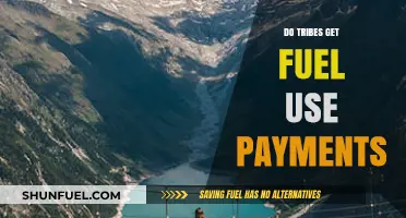 Do Tribes Receive Fuel Use Payments? Exploring Energy Compensation Policies