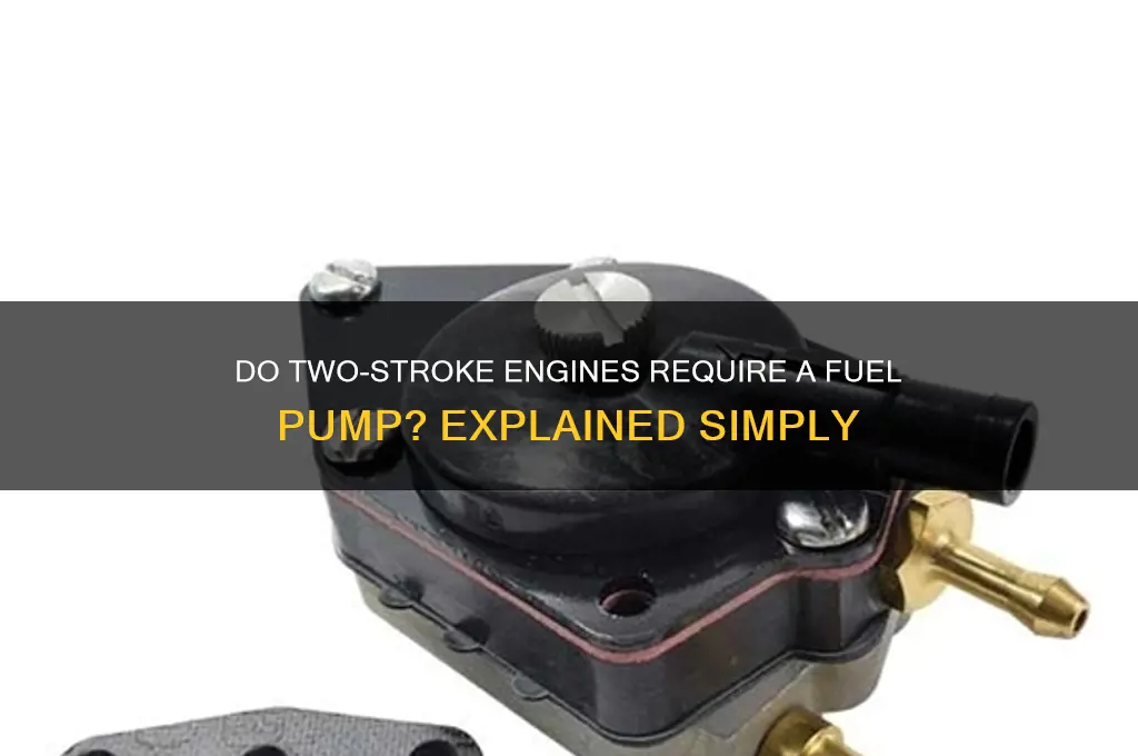 do two stroke engines need a fuel pump