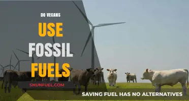 Veganism and Fossil Fuels: Exploring the Indirect Energy Connection