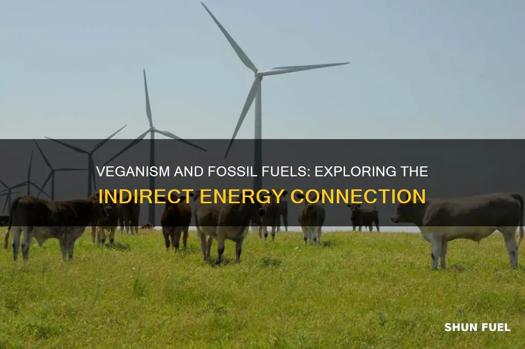 do vegans use fossil fuels