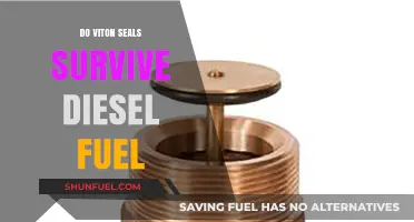 Viton Seals and Diesel: What's the Verdict?