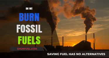 Burning Fossil Fuels: A Global Concern?