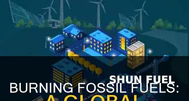 do we burn fossil fuels