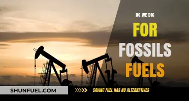 The Destructive Hunt for Fossil Fuels