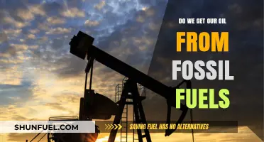Fossil Fuels: Where Does Our Oil Come From?
