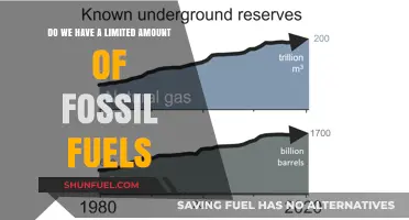 The Fossil Fuel Conundrum: Finite Resources, Infinite Demand