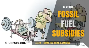Fossil Fuel Subsidies: A Necessary Evil?