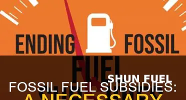 do we need fossil fuel subsidies