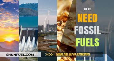 Fossil Fuels: Necessary Evil or Obsolete?