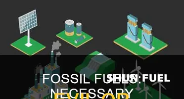 do we need fossil fuels