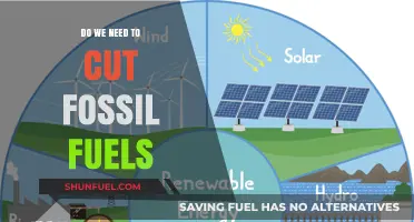 Fossil Fuels: Cut or Keep?