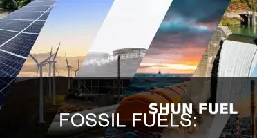 do we need to cut fossil fuels