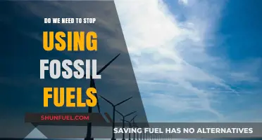 Ending Fossil Fuel Dependence: A Necessary Step for Our Planet's Future