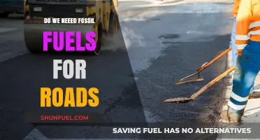 The Road Ahead: Fossil Fuels or Alternatives?