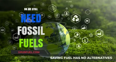 Fossil Fuels: Necessary or Not?