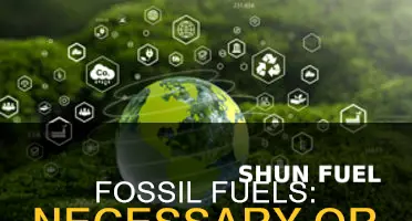 do we still need fossil fuels