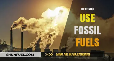 Fossil Fuels in 2023: Are They Still Powering Our World?