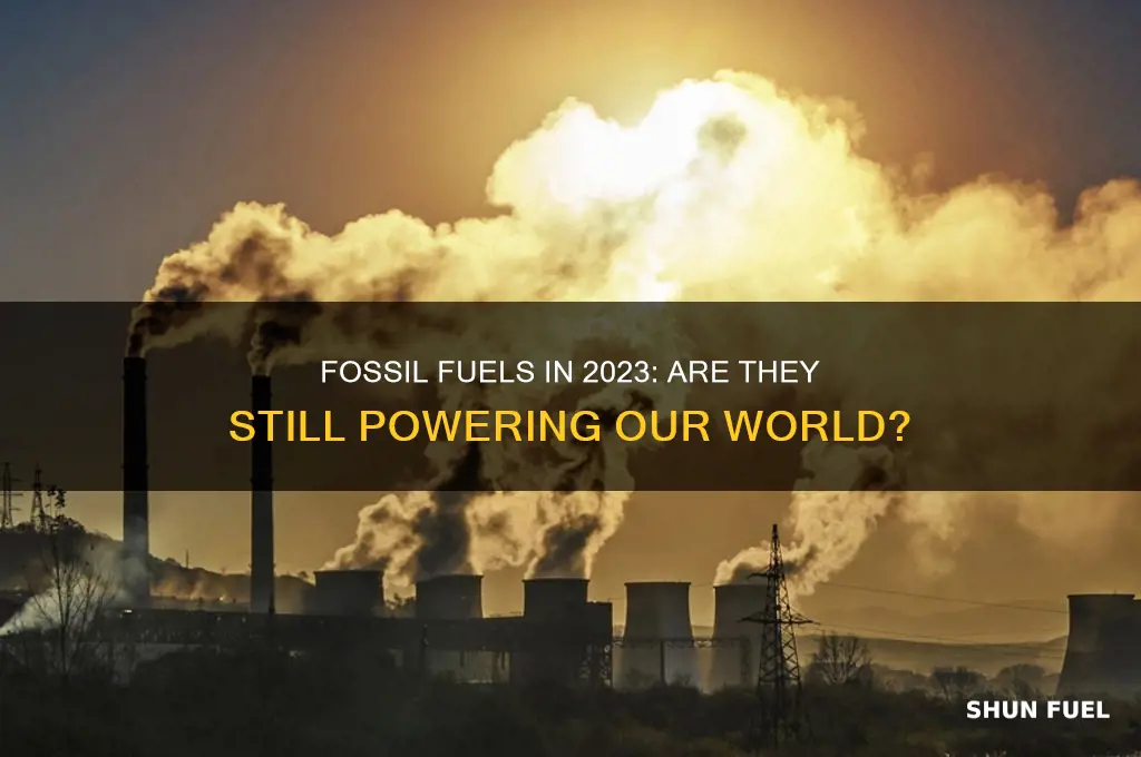 do we still use fossil fuels