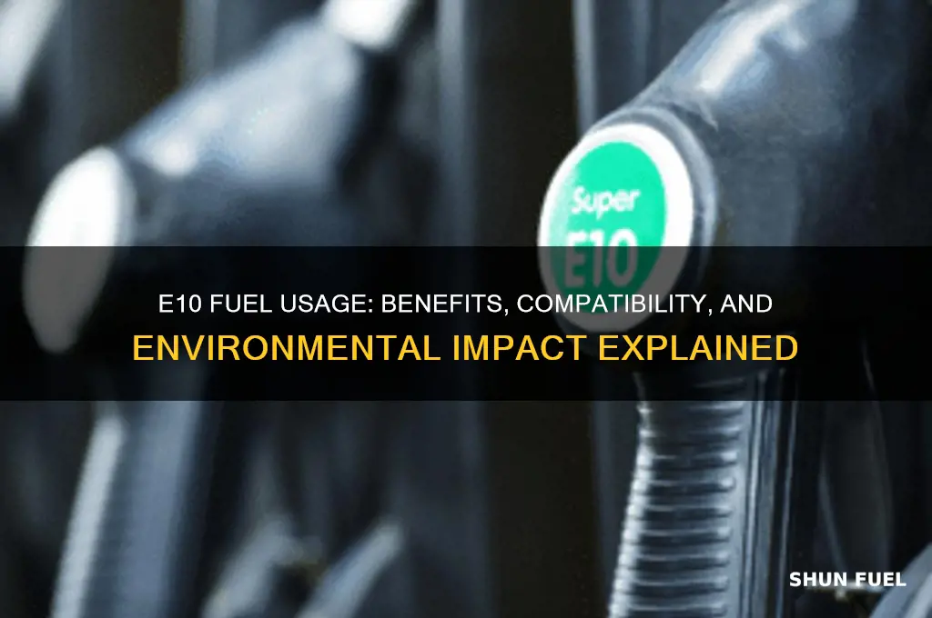 do we use e10 fuel