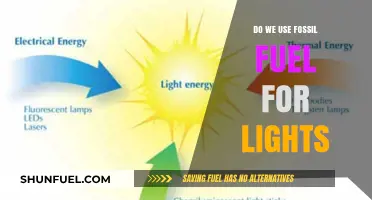 Fossil Fuels: Powering Our Lights?