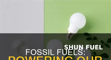 do we use fossil fuel for lights
