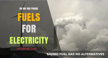 Fossil Fuels and Electricity: Powering the World or Harming It?