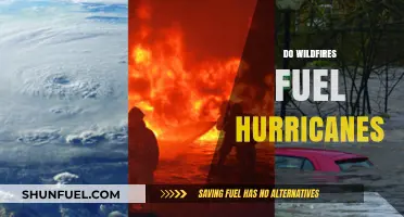 Wildfires and Hurricanes: Unraveling the Fiery-Stormy Climate Connection