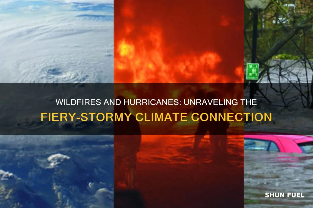 do wildfires fuel hurricanes