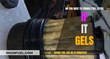 Fuel Filter Maintenance: Gelling Issues and Replacement Necessity