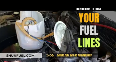 Fuel Line Flushing: Essential Maintenance or Overkill?