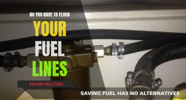 Flushing Fuel Lines: Necessary Maintenance or Unnecessary Hassle?