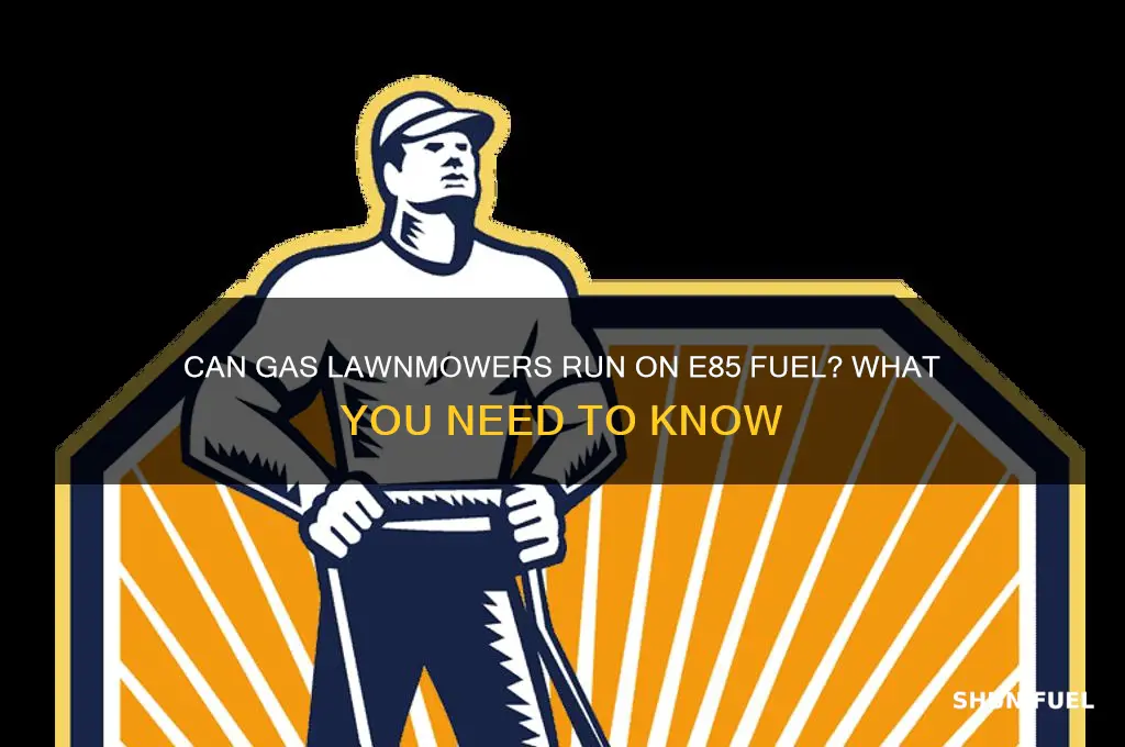 do you have to use e85 fuel for gas lawnmowers