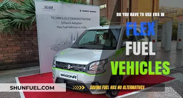 Flex Fuel Vehicles: E85 Requirement or Optional Fuel Choice?