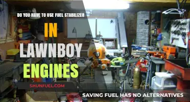 Fuel Stabilizer in LawnBoy Engines: Essential or Optional?