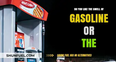 Exploring the Alluring Aromas: Gasoline and Beyond