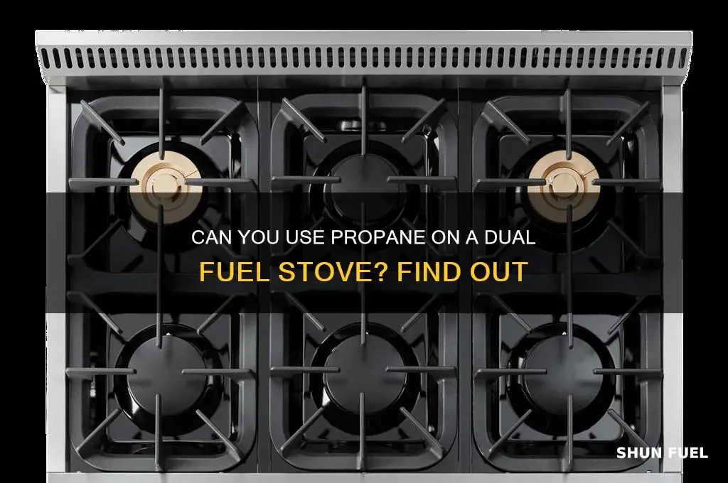 do you need dual fuel stove to use propane