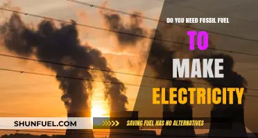 Fossil Fuels: Powering Our World, But For How Long?
