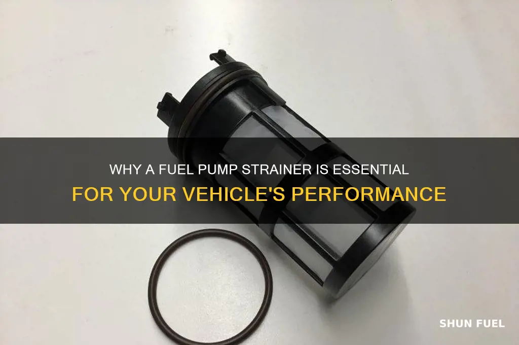 do you need fuel pump strainer