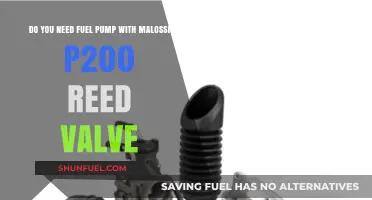 Malossi P200 Reed Valve: Fuel Pump Requirement Explained