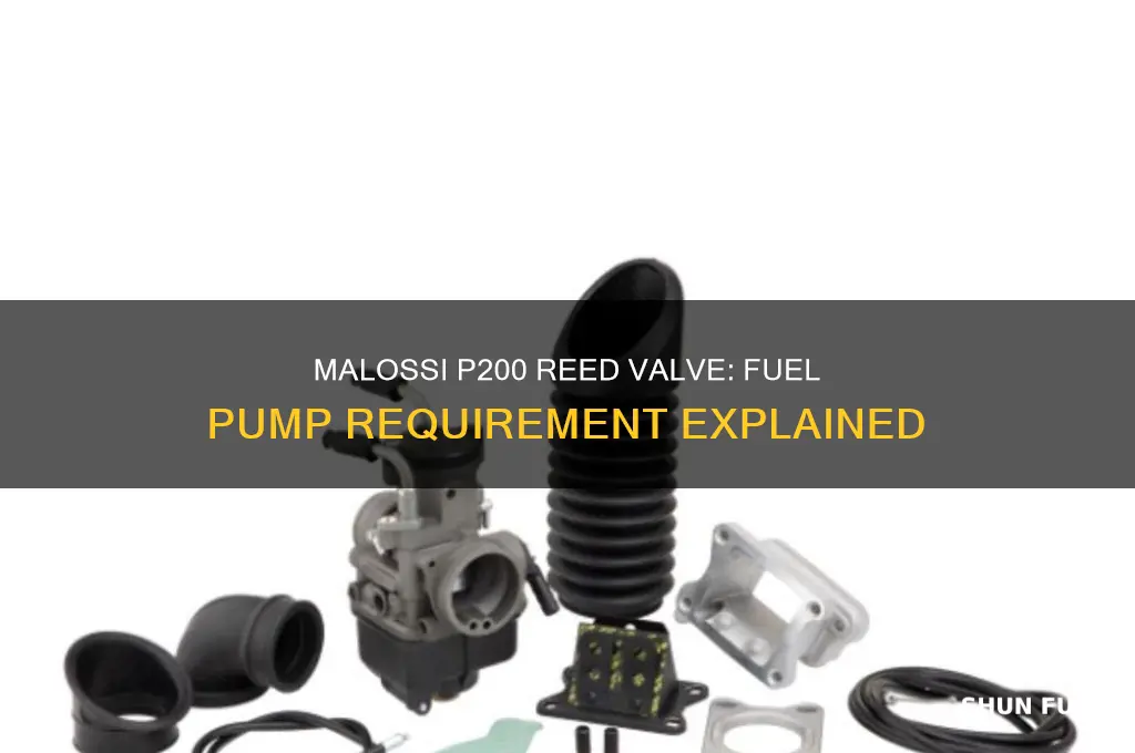 do you need fuel pump with malossi p200 reed valve