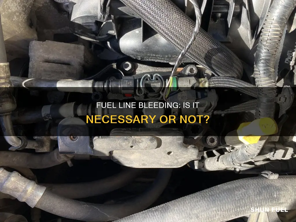 do you need to bleed fuel lines